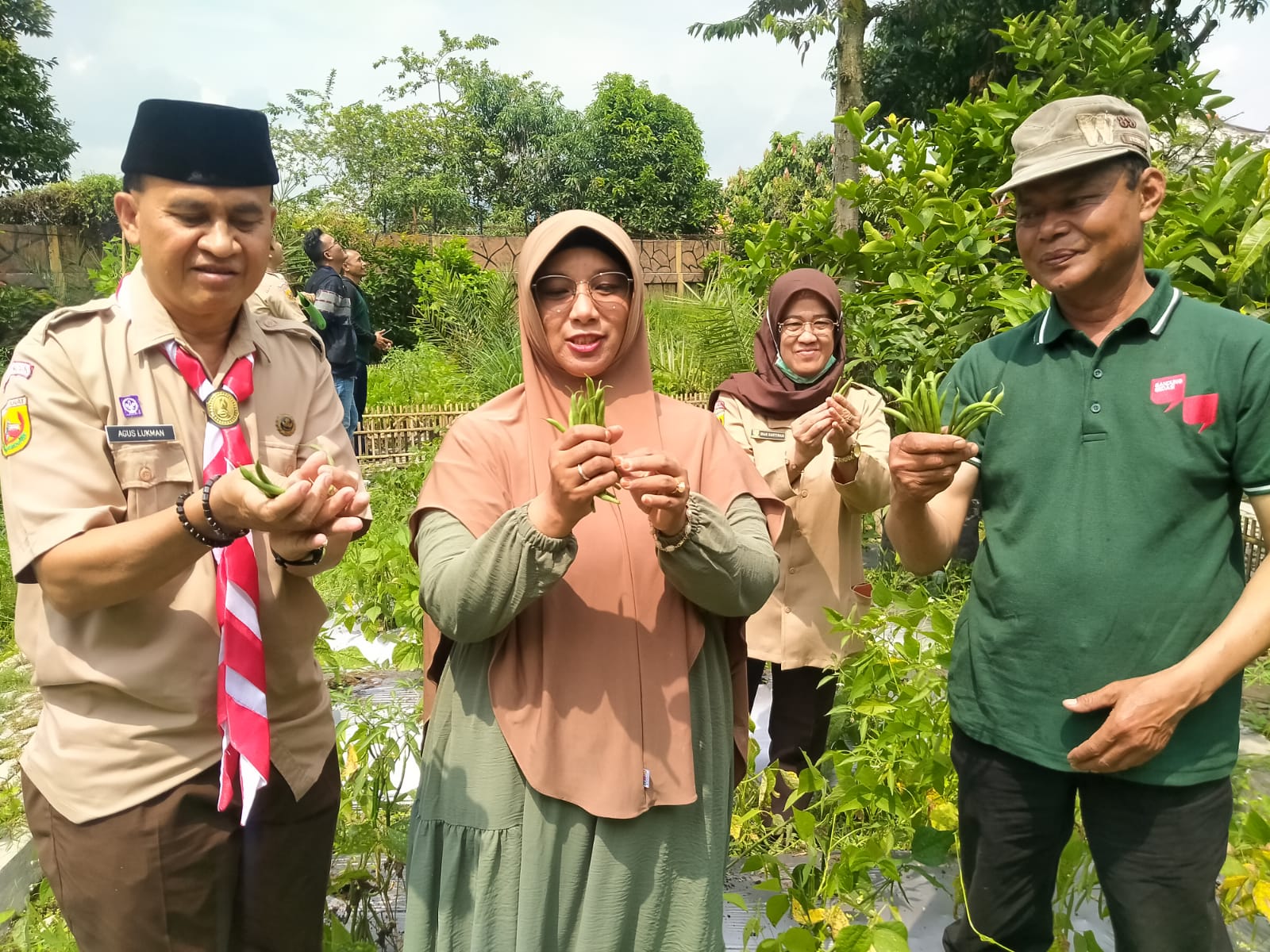 Memanfaatkan Pekarangan Rumah Untuk Menanam Sayuran Guna Ketahanan